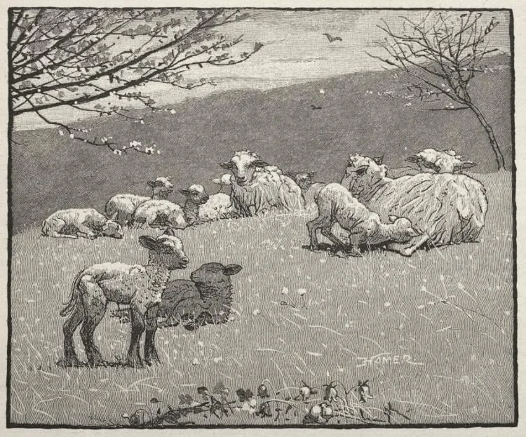 Spring Lamb, detail