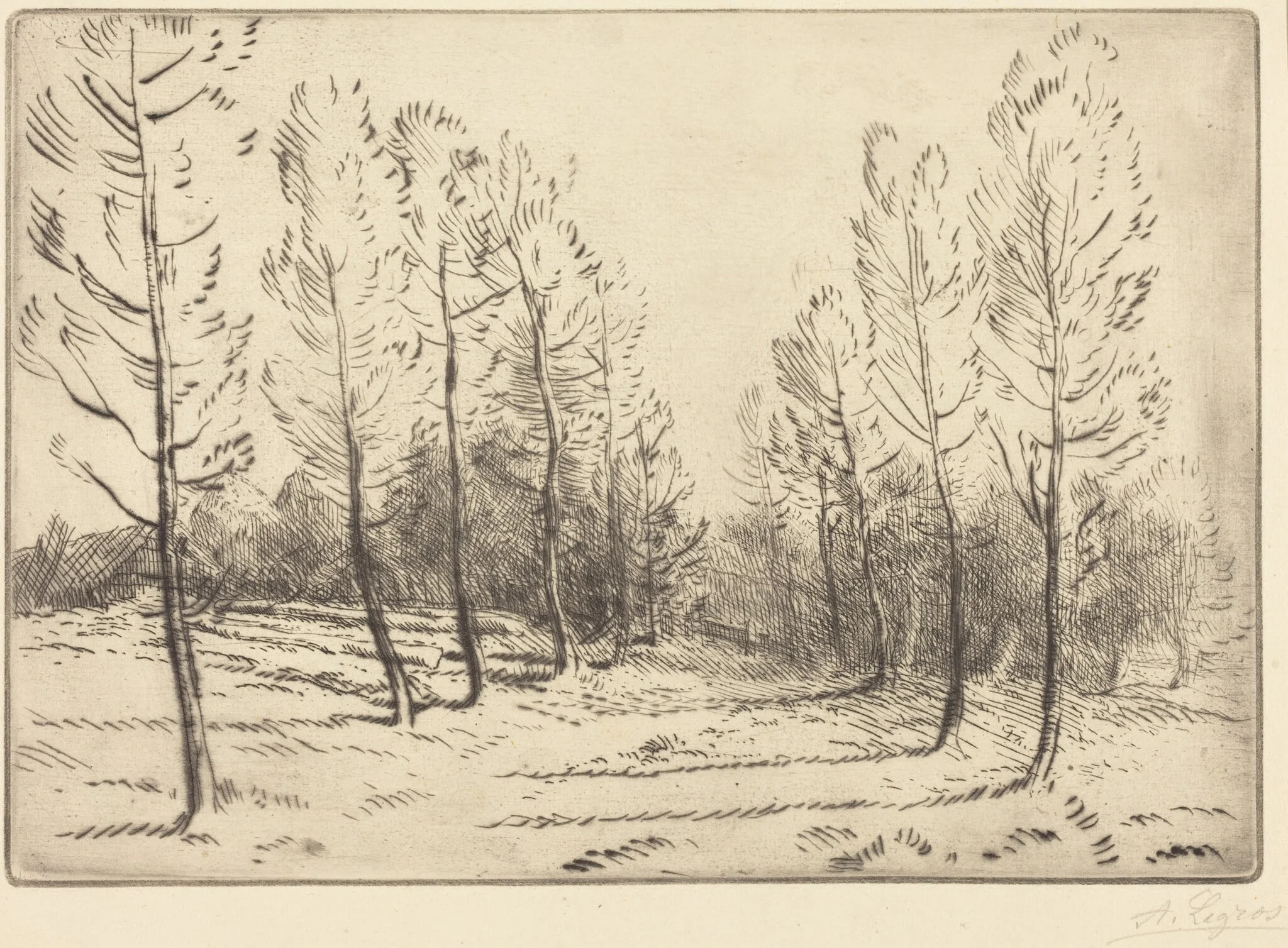 Avenue of Poplars (L'allee de peupliers), detail