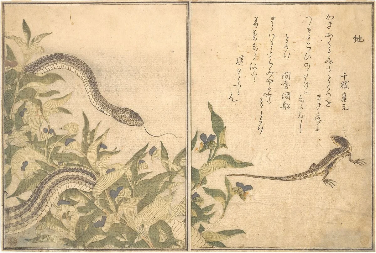 『画本虫撰』「虵」「とかけ」|Rat Snake (Hebi); Lizard or Skink (Tokage), from the Picture Book of Crawling Creatures (Ehon mushi erami), detail