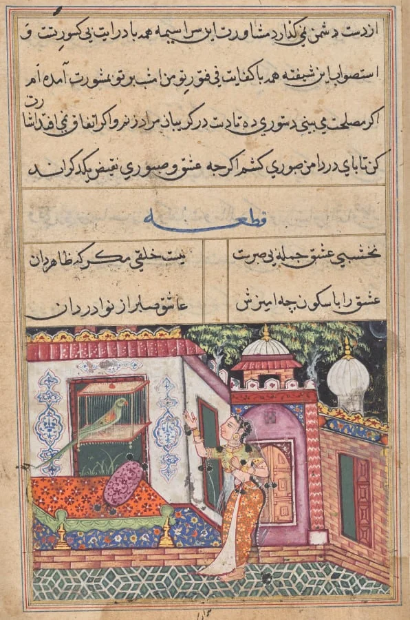 The Parrot Addresses Khujasta at the Beginning of the Eleventh Night, from a Tuti-nama (Tales of a Parrot), detail