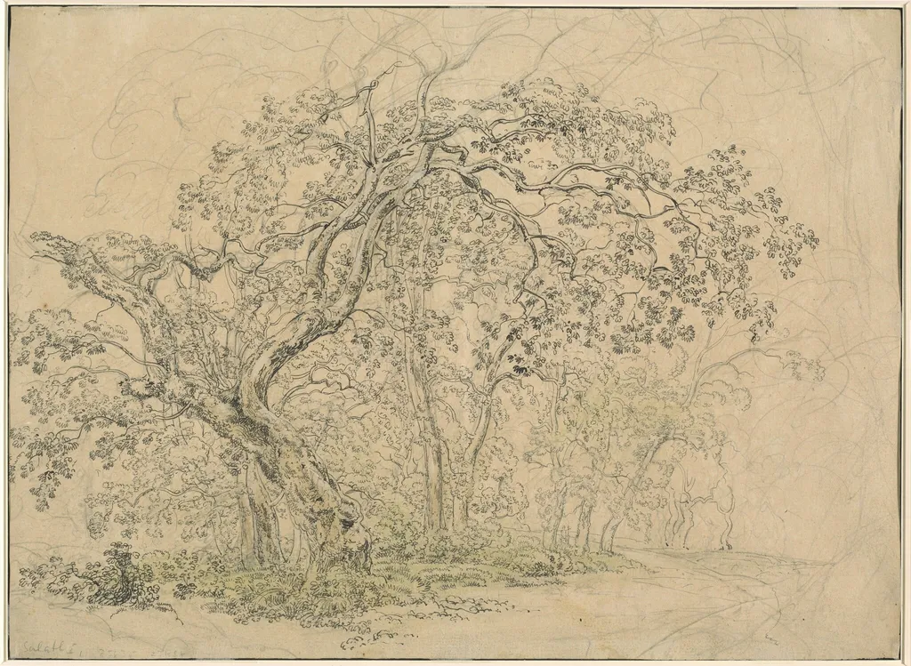Grove of Trees [verso], by Friedrich Salathé, ink, 1835