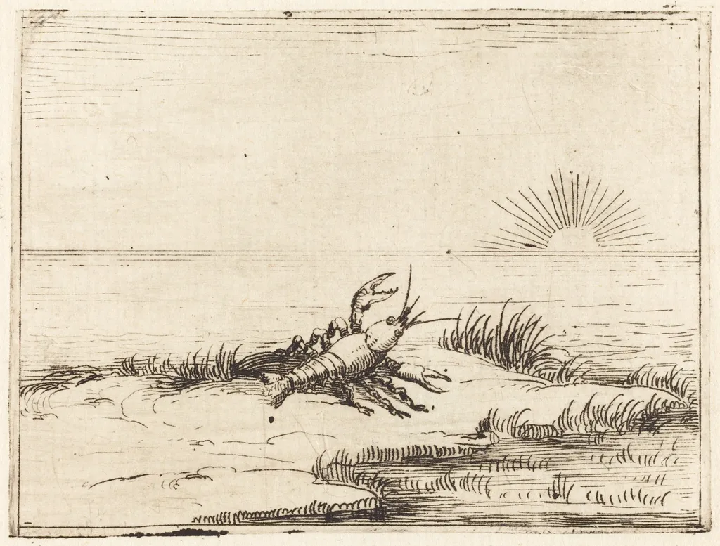 Crayfish Looking at the Sun, by Jacques Callot, ink, 1628