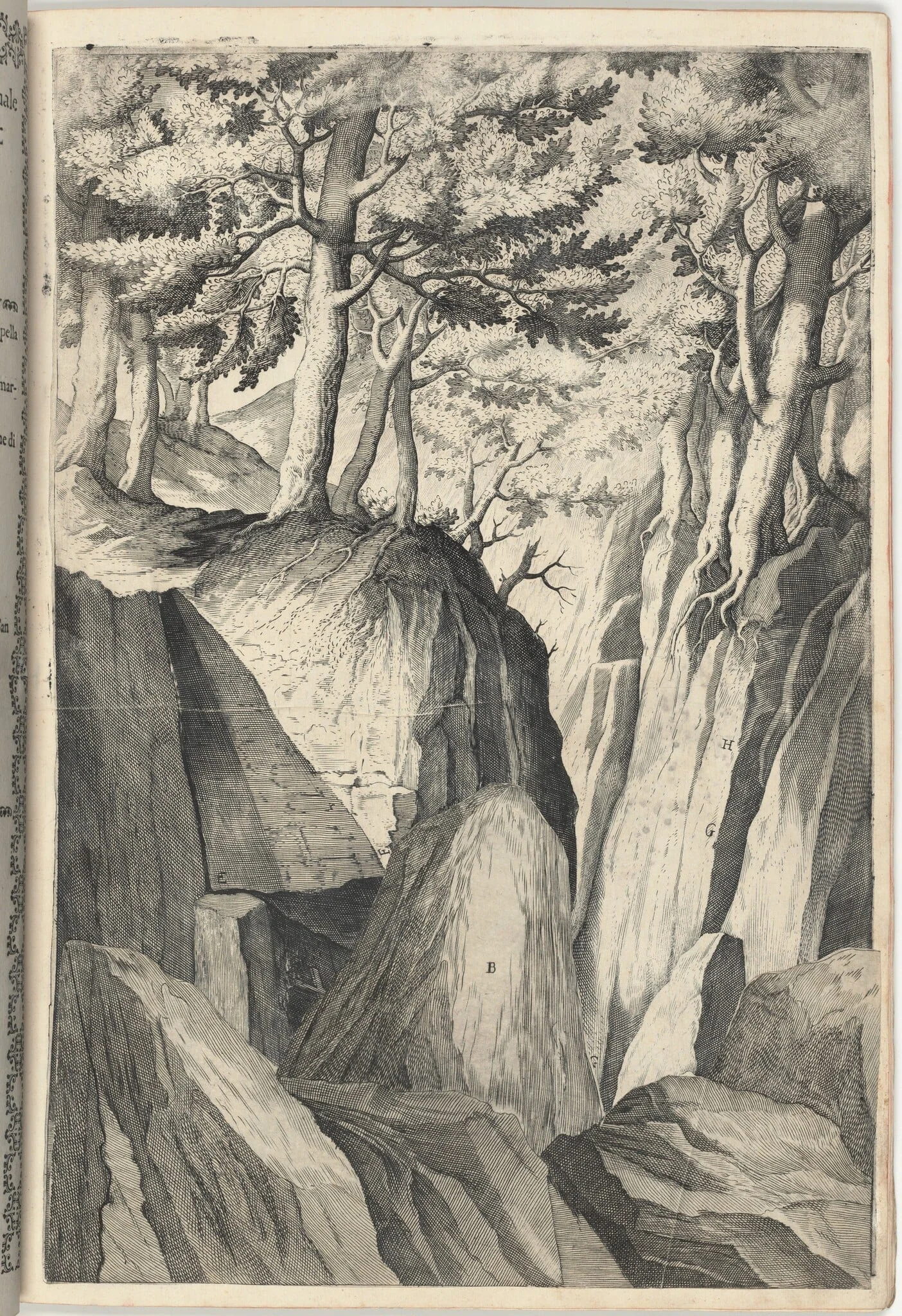 The Prominent Rock (Sasso spicco) [plate I], detail