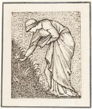Lady Picking Flowers, by Edward Coley, Sir Burne-Jones, ink, 1890