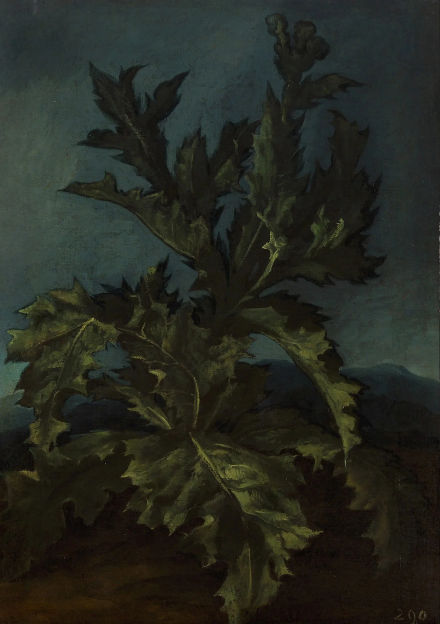 Thistle, detail