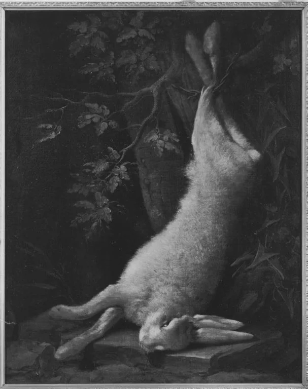 Dead hare, detail