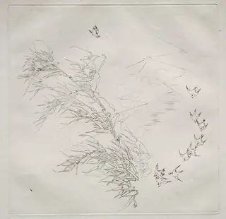 Parisian Service (Haviland service): The Storm (no. 8), by Félix Bracquemond, 1875