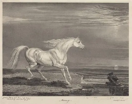 Marengo, by James Ward, ink, 1824