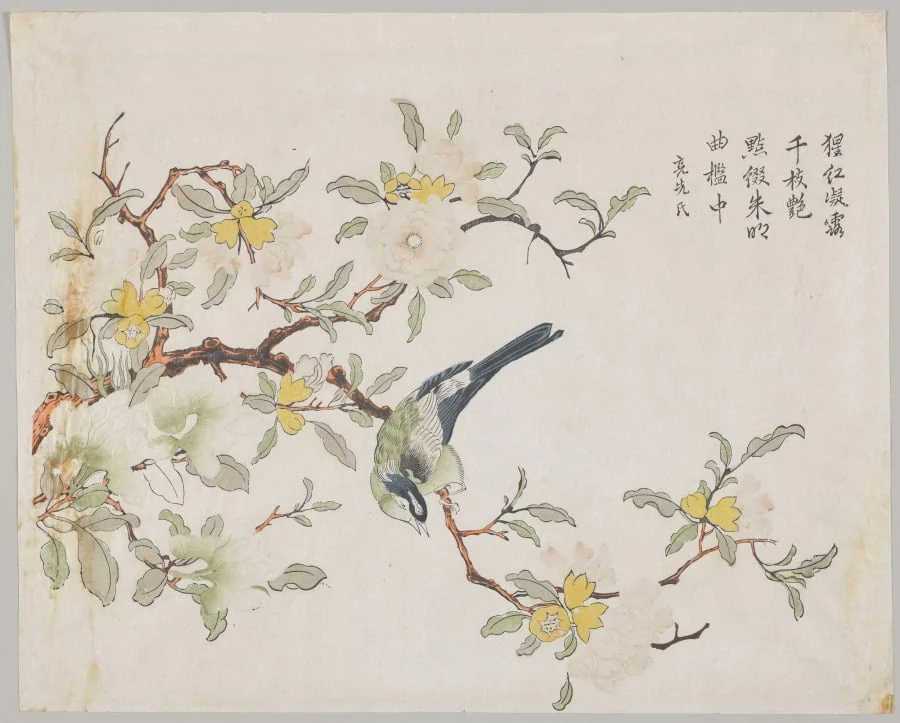 Bird on Pomegranate, detail