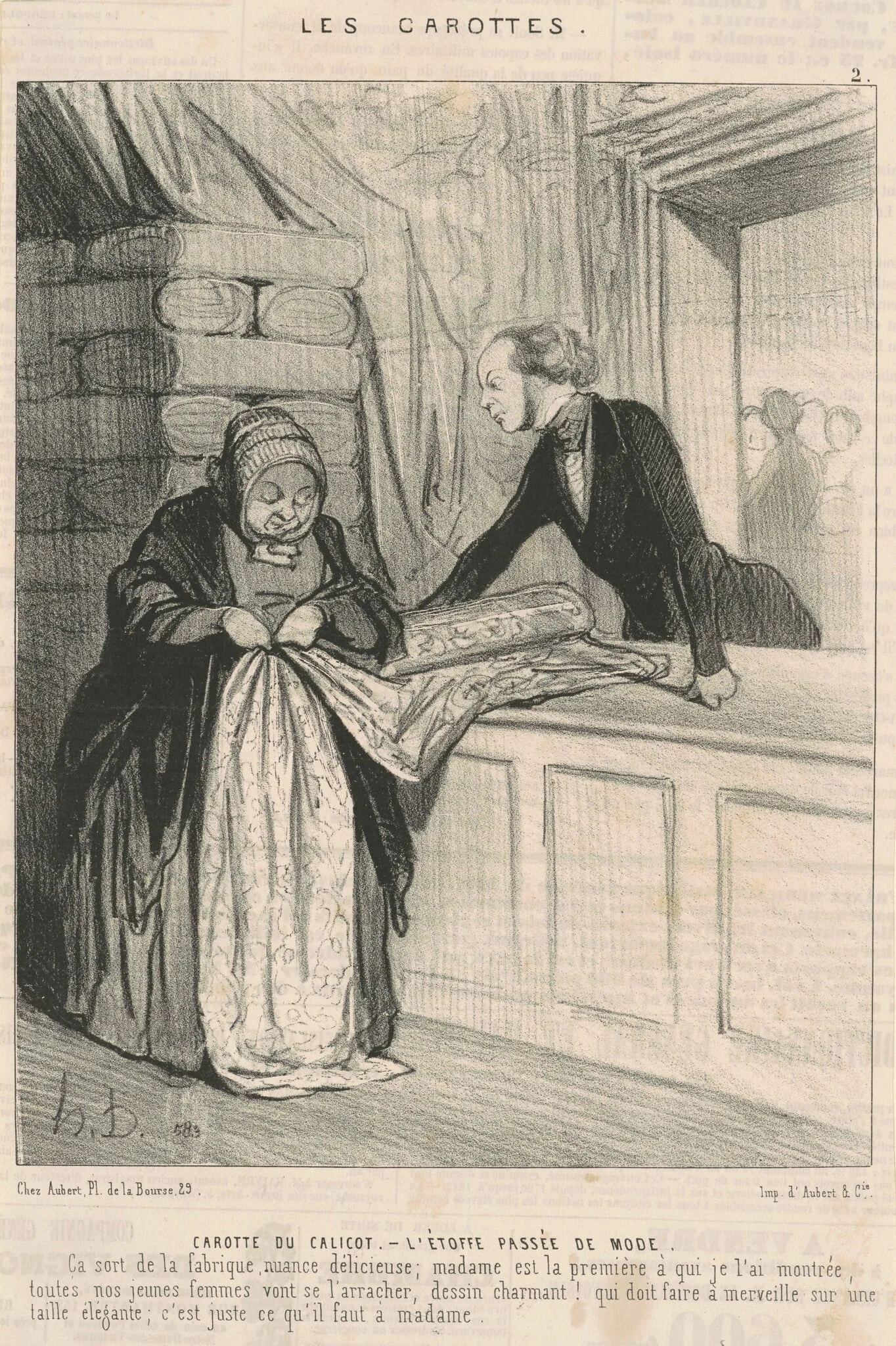 Carotte du calicot, detail