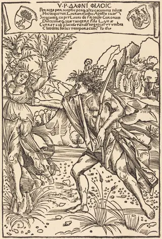 Apollo and Daphne, by Hans Süss von Kulmbach, ink, 1502