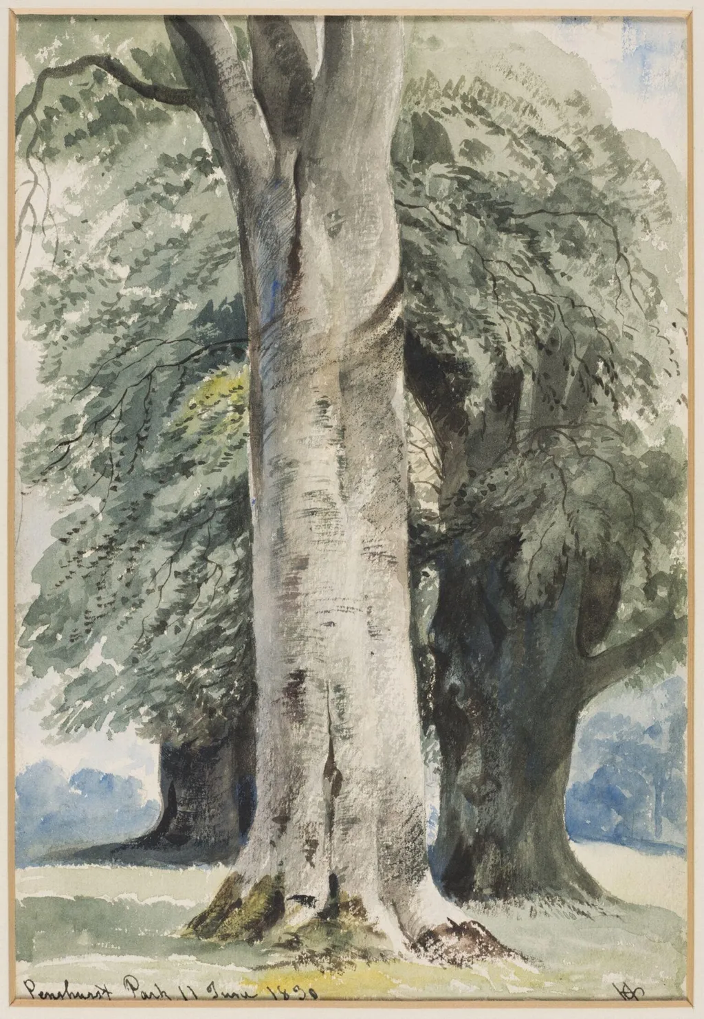 Penshurst Park, by Henry Courtney Selous, watercolor, 11
