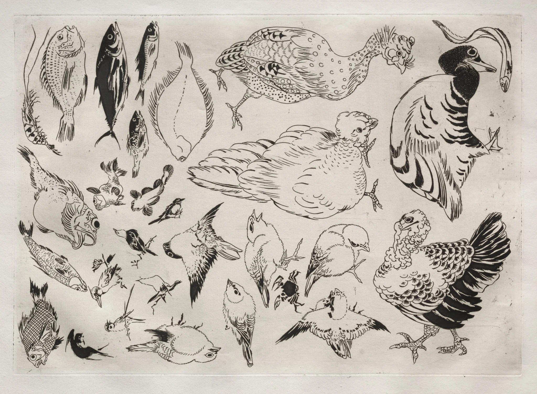 Dinner Service (Rousseau service): Ducks, fish, etc. (no. 12), detail