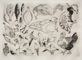 Dinner Service (Rousseau service): Ducks, fish, etc. (no. 12), by Félix Bracquemond, 1866