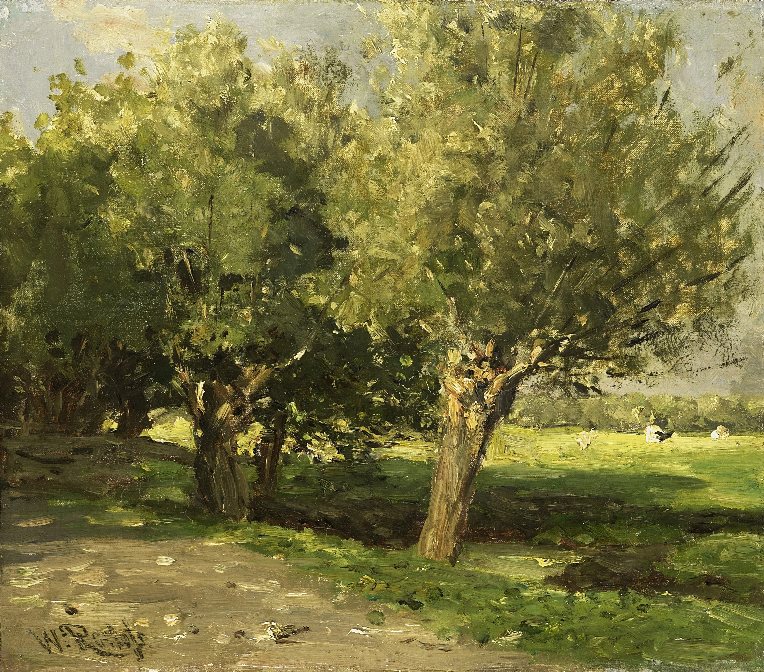 Wilgebomen, detail