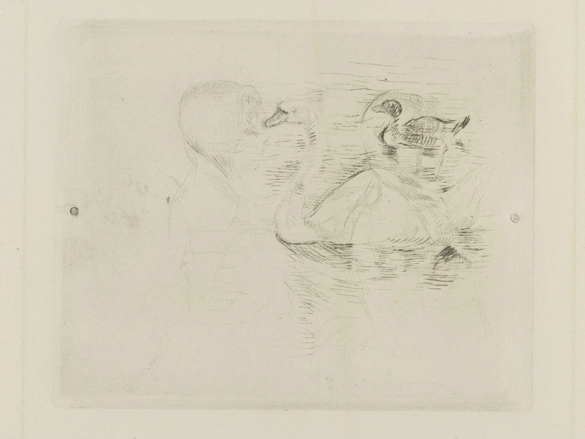 Swan and Duck, detail