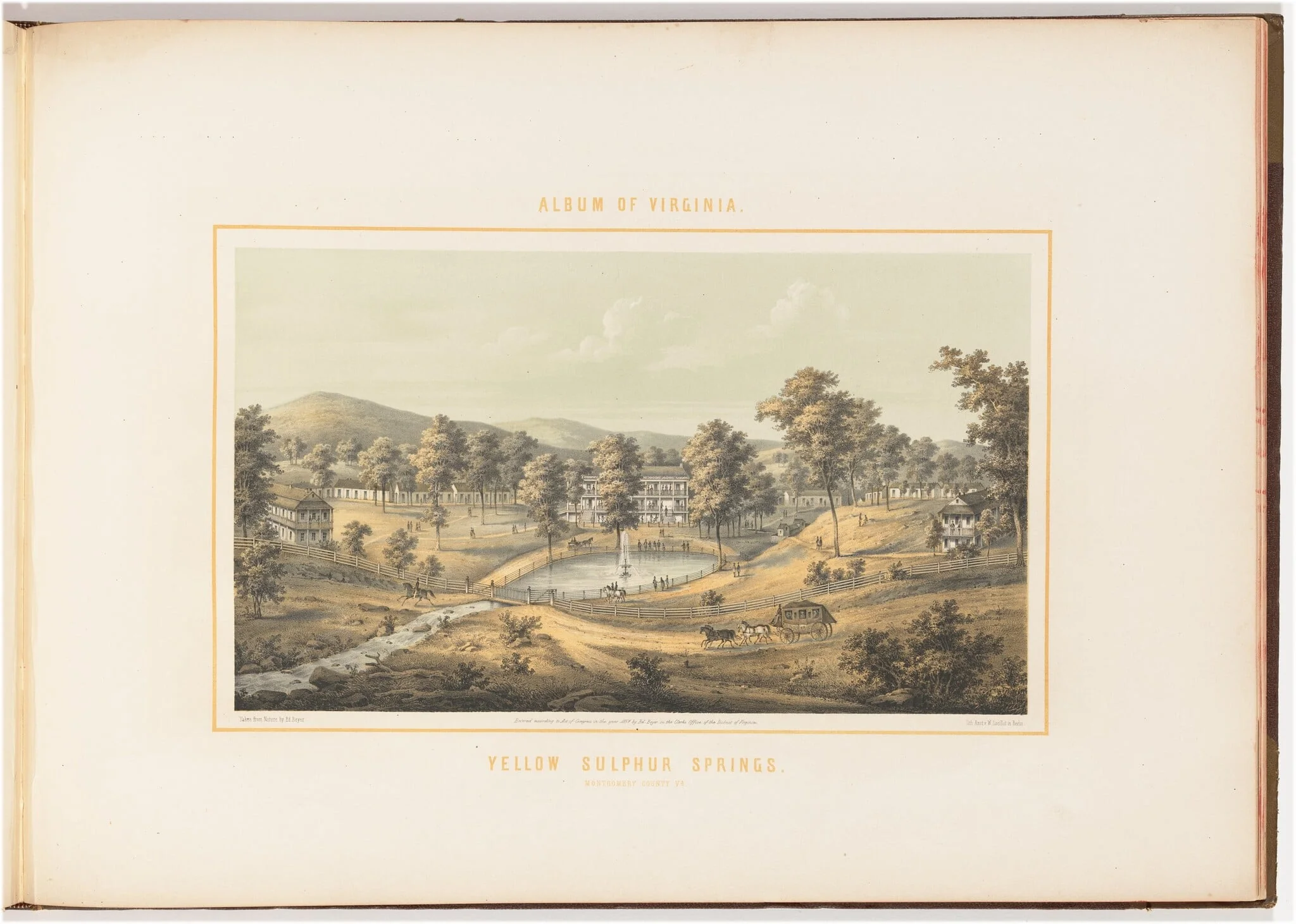 Yellow Sulphur Springs, detail