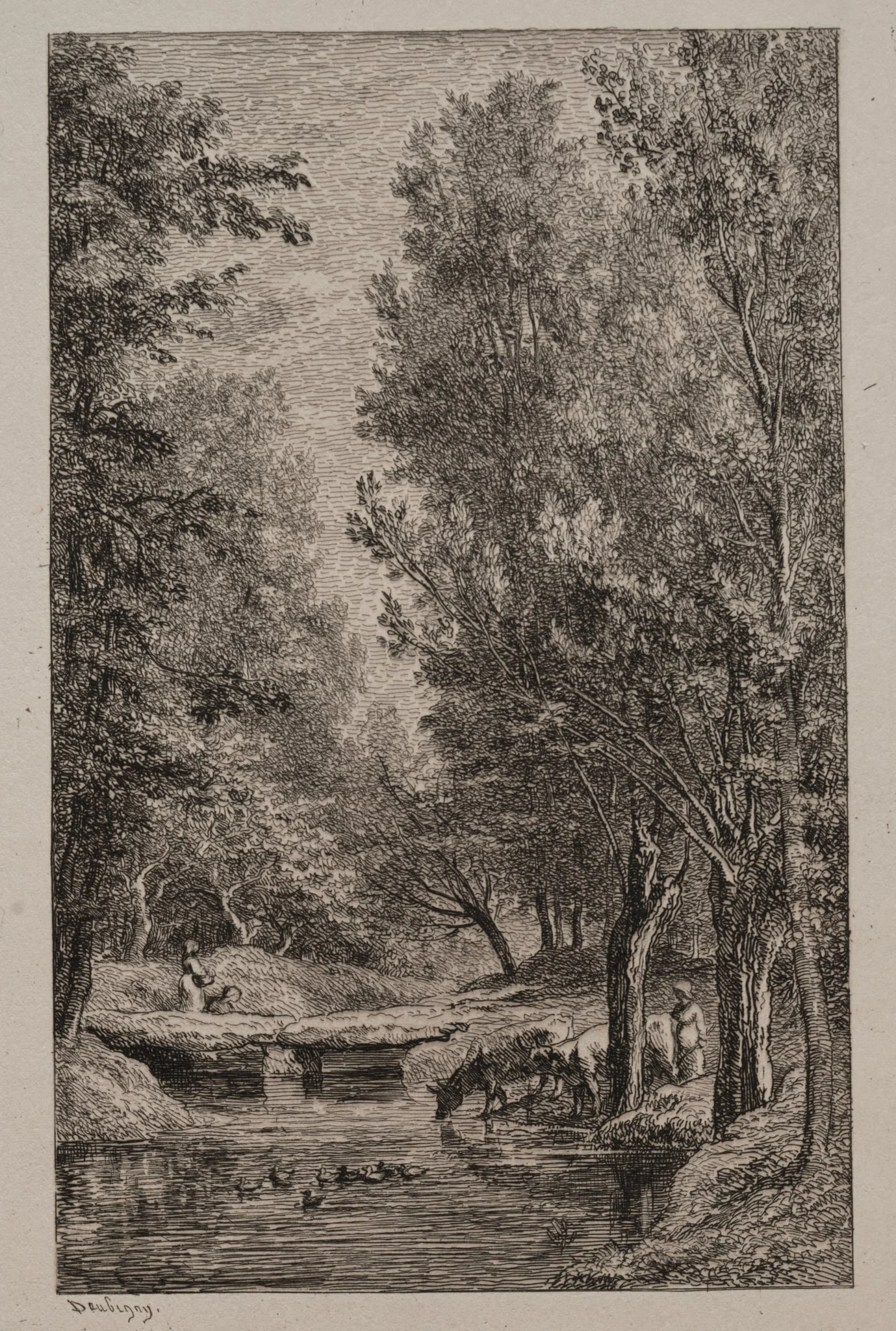Brook in the Val Mondois, detail