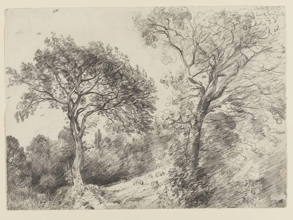 Trees in West End Fields, Hampstead, by John Constable, 5