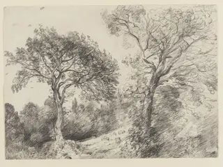 Trees in West End Fields, Hampstead, by John Constable, 5