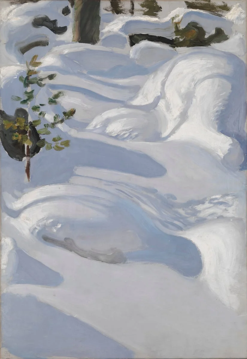 Päivänpaisteisia hankia, detail