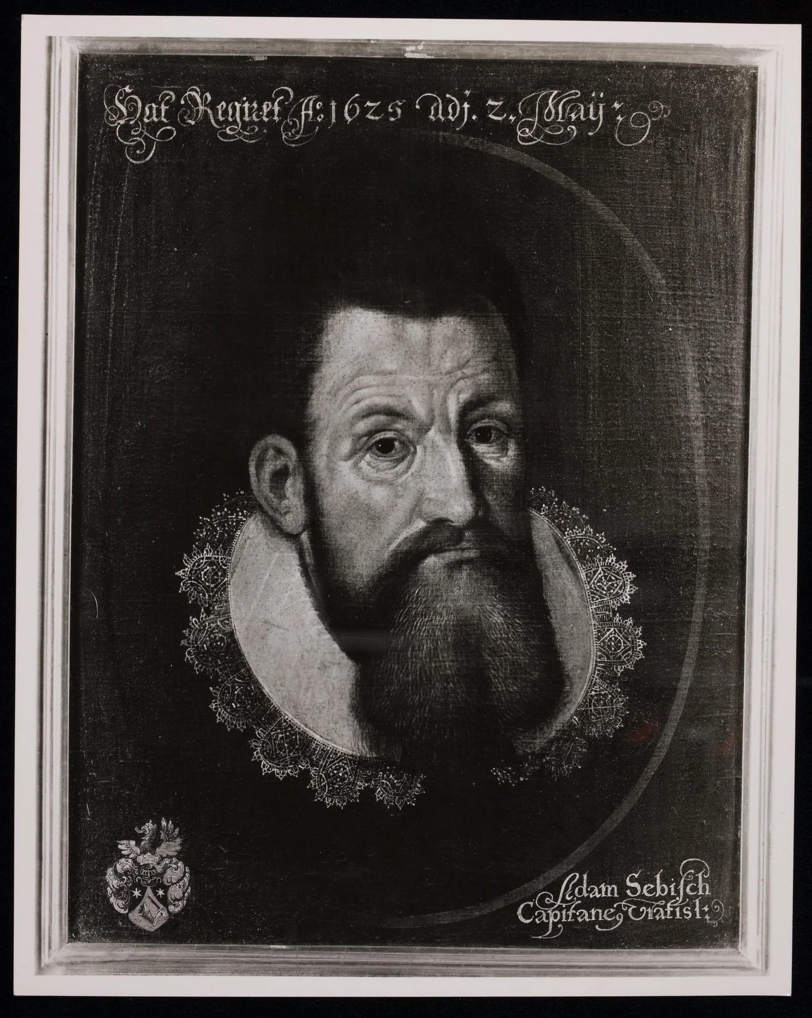 Säbisch, Adam von, detail