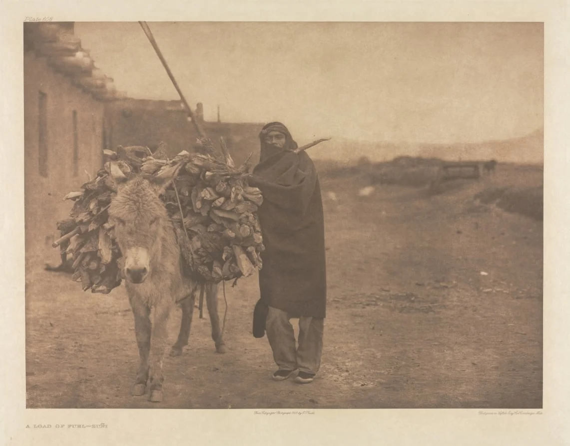 Portfolio XVII, Plate 608: A Load of Fuel - Zuñi, detail