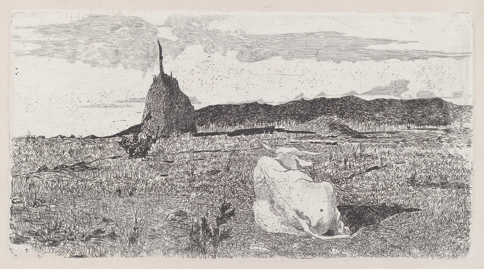 Holy Cow (Pio bove), detail