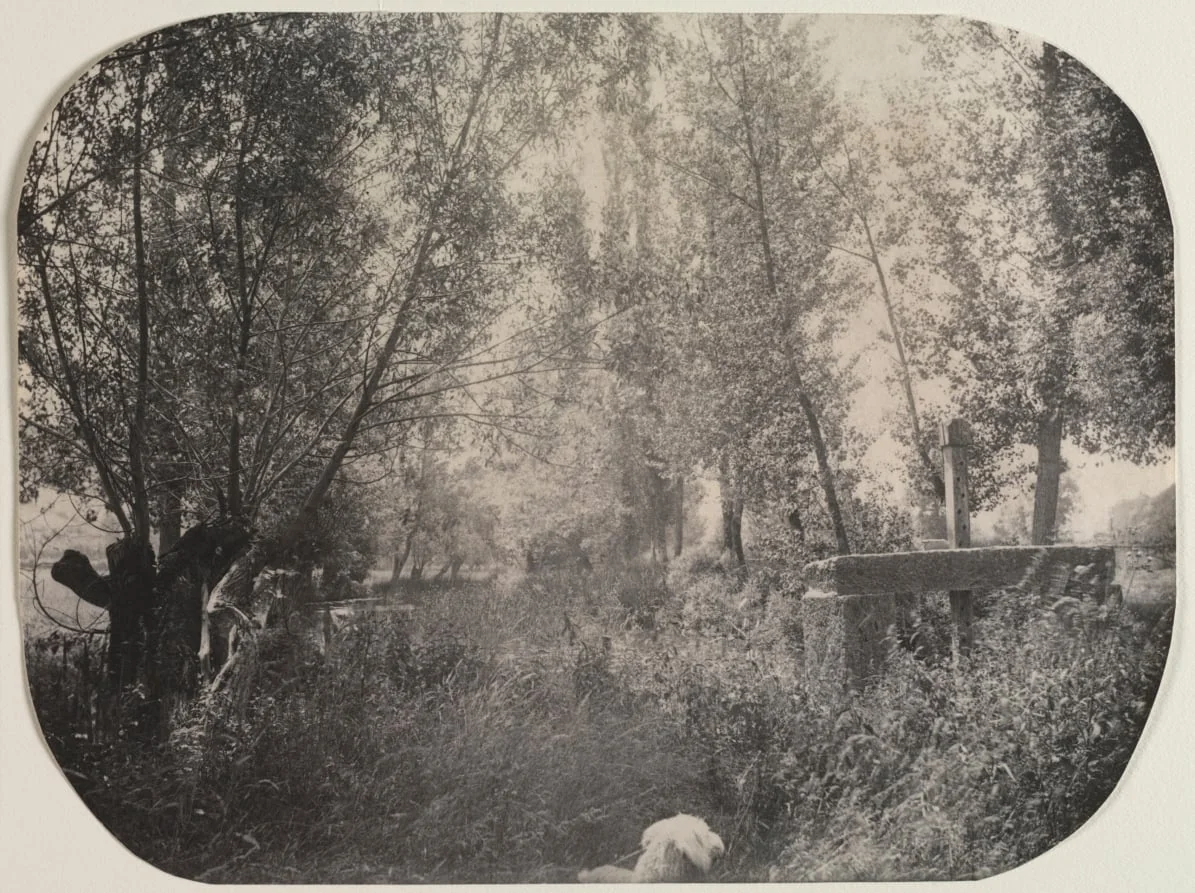 Untitled (Landscape with Dog), detail