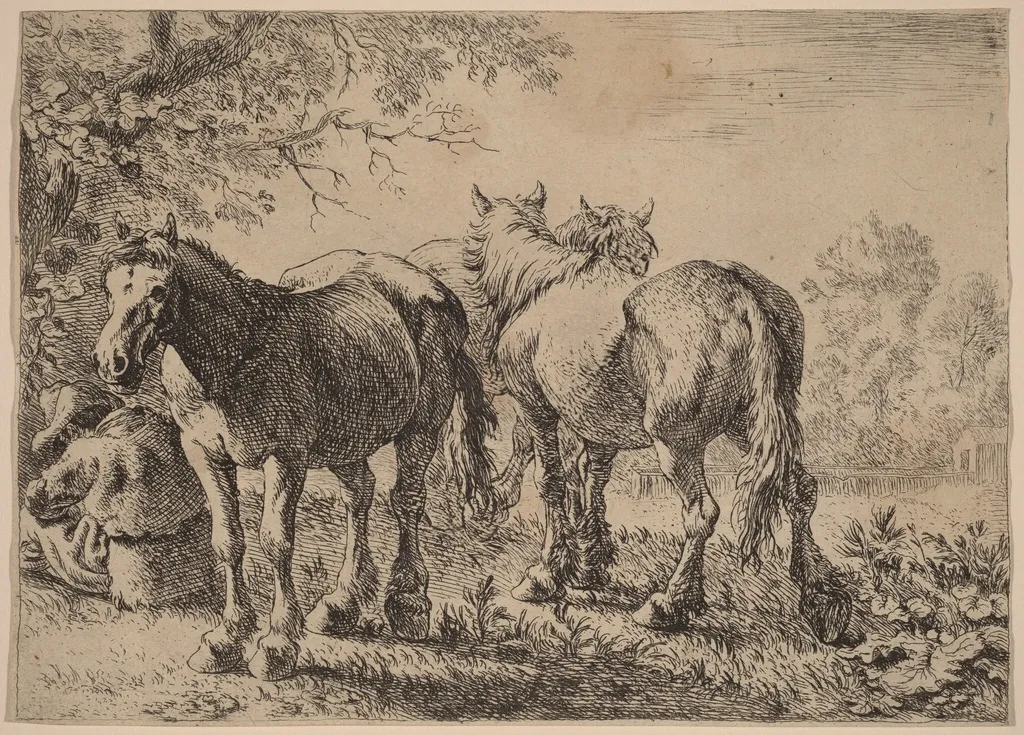 Three Horses in a Field, by Pieter van Laer, ink, 1636