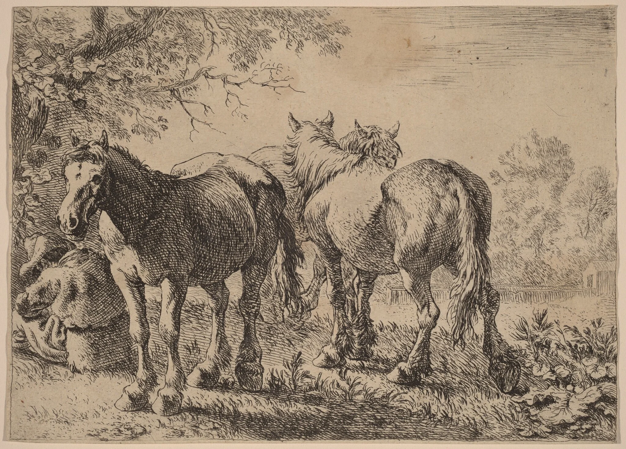 Three Horses in a Field, detail