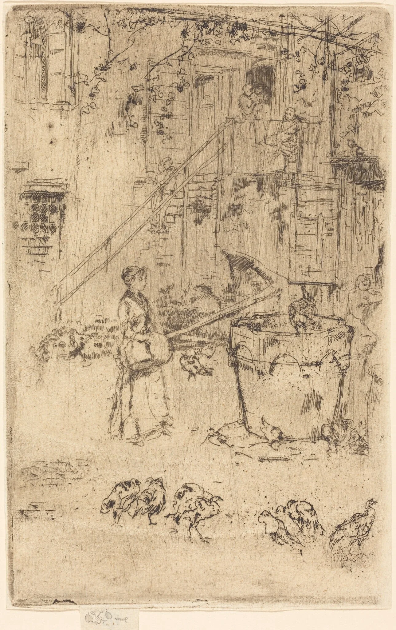 Turkeys, detail