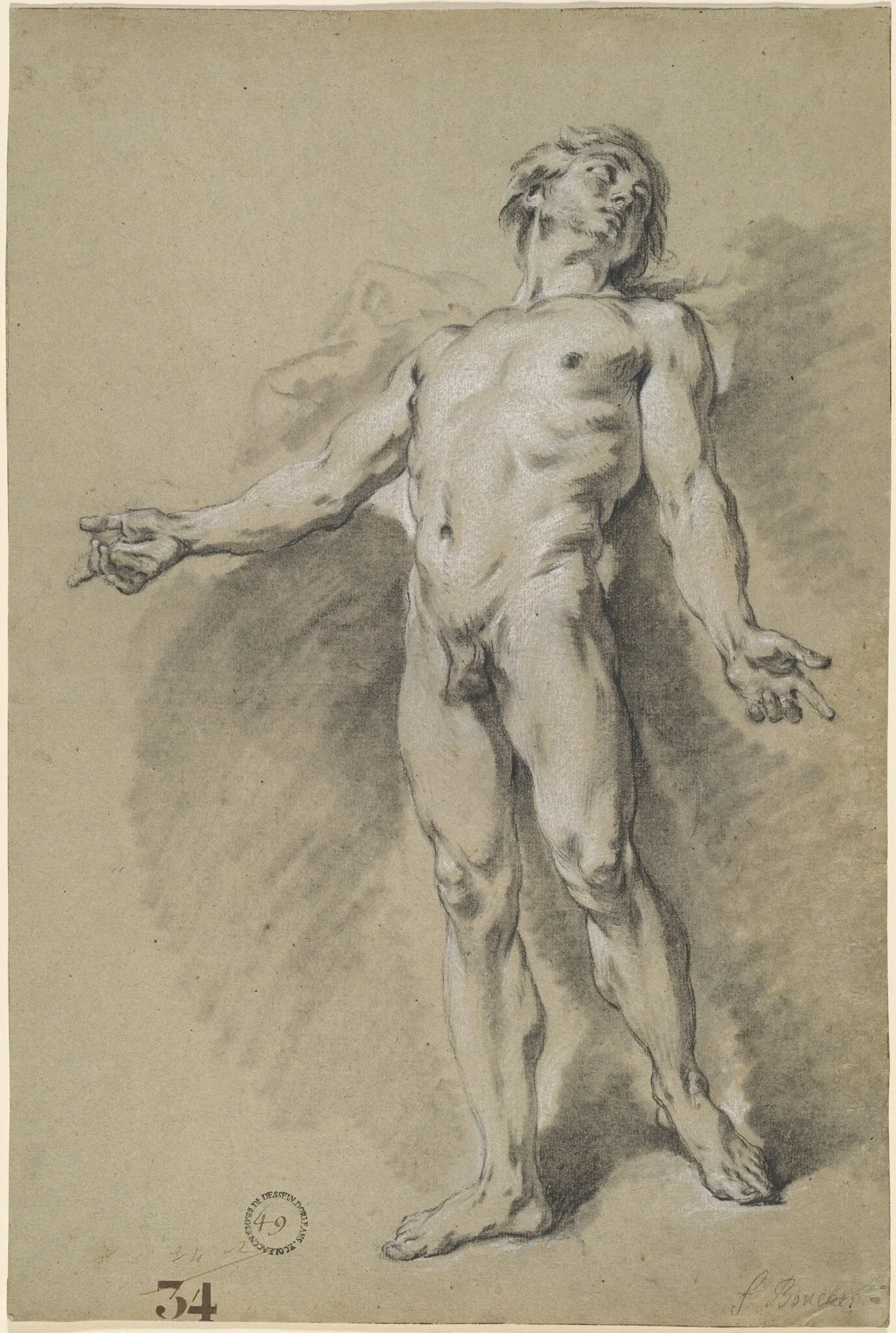 Apollo, detail