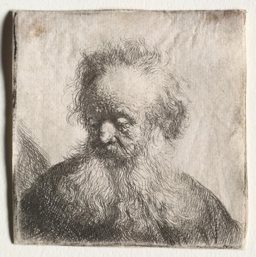 Old Man with a Flowing Beard: Bust, detail