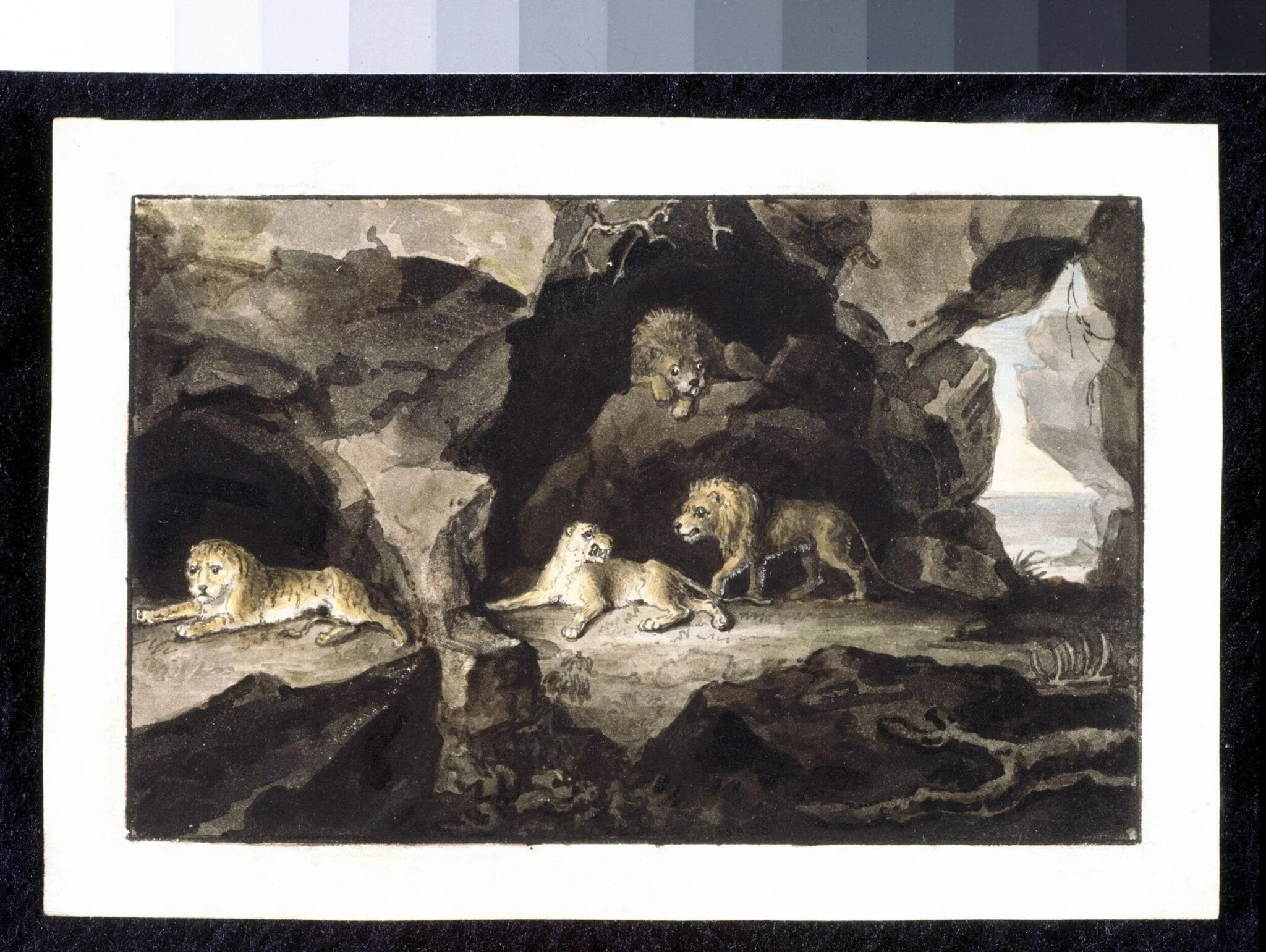 Lions and Lionesses, detail