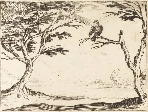 The Vulture, by Jacques Callot, ink, 1628