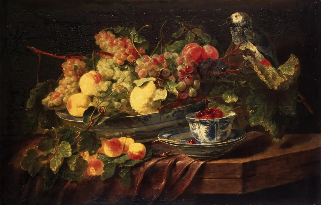 Still Life with Fruit and Parrot, by Jan Fyt, oil, 1645