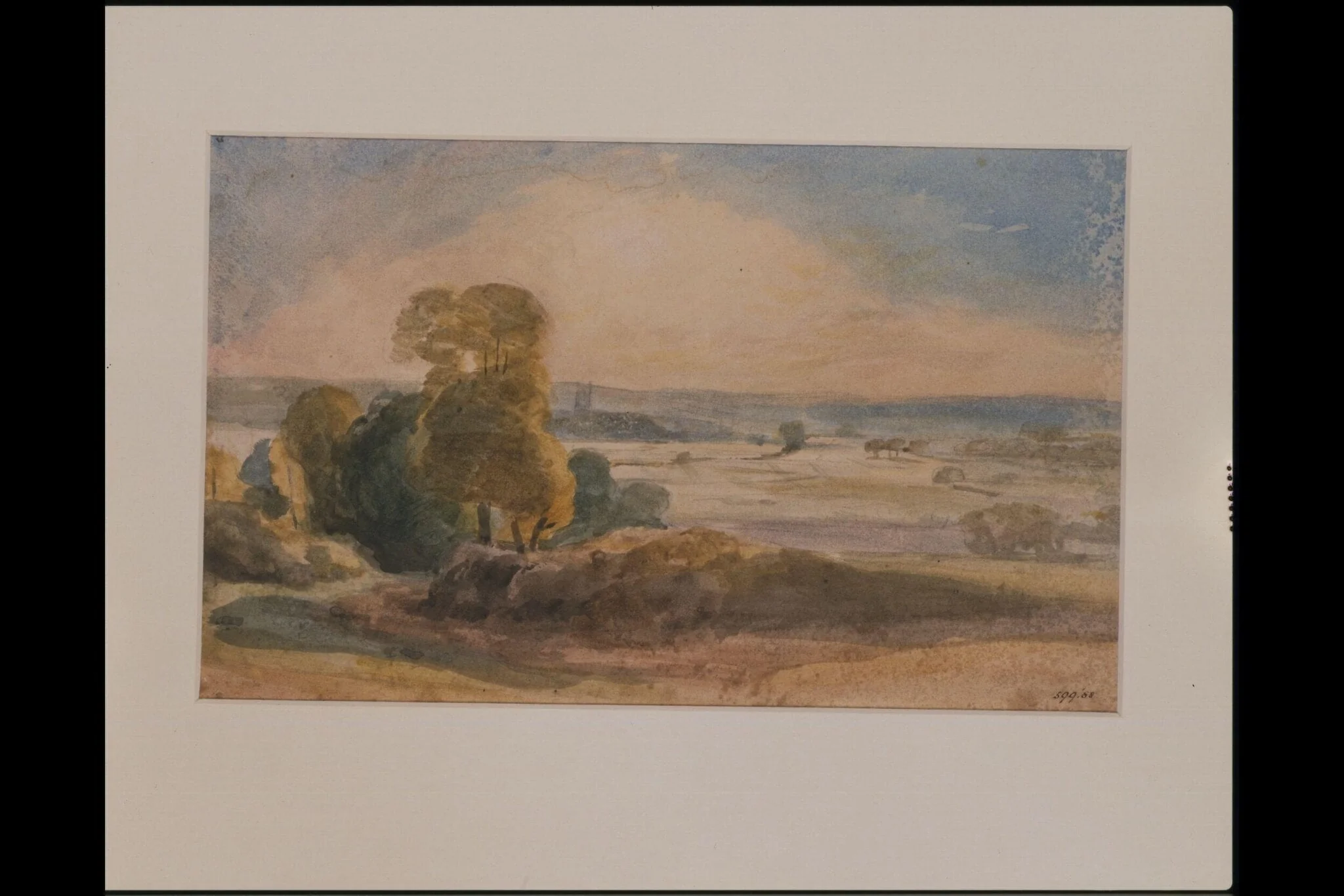 Dedham Vale, detail