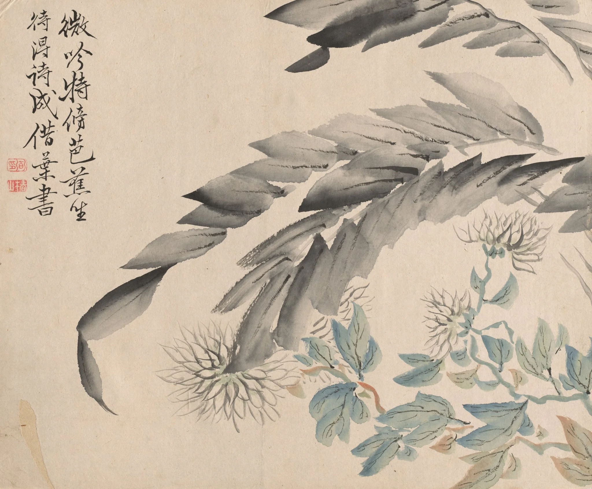 Banana Plant and Chrysanthemum, detail