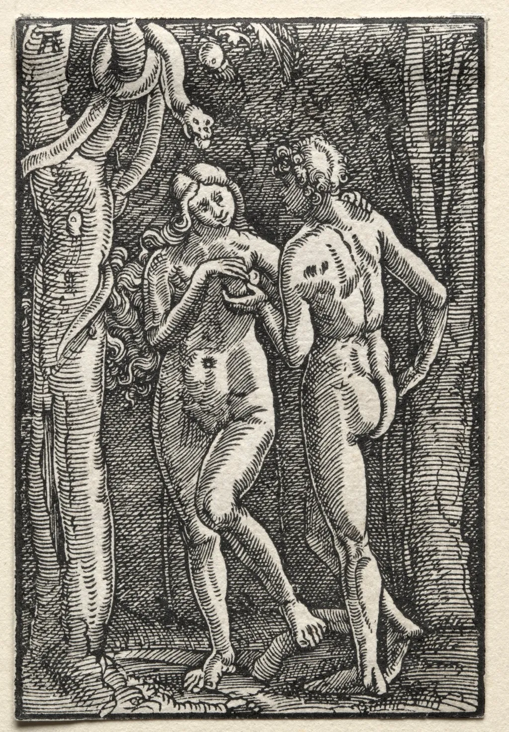 The Fall and Redemption of Man:  Adam and Eve Eating the Forbidden Fruit, by Albrecht Altdorfer, 1515