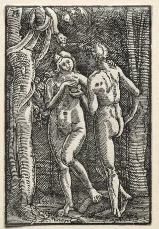 The Fall and Redemption of Man:  Adam and Eve Eating the Forbidden Fruit, by Albrecht Altdorfer, 1515