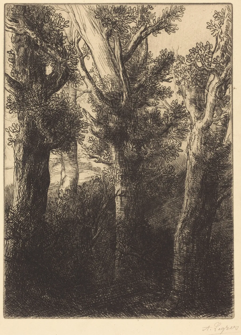 German Forest, Downley, by Alphonse Legros, ink, 1874