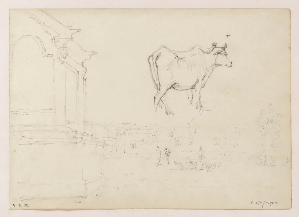 A cow, and an open space within the city of Macau, by George Chinnery, 19