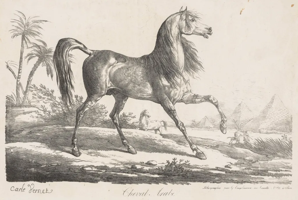 Suite de Chevaux:  Cheval Arabe, by Carle Vernet, 1808