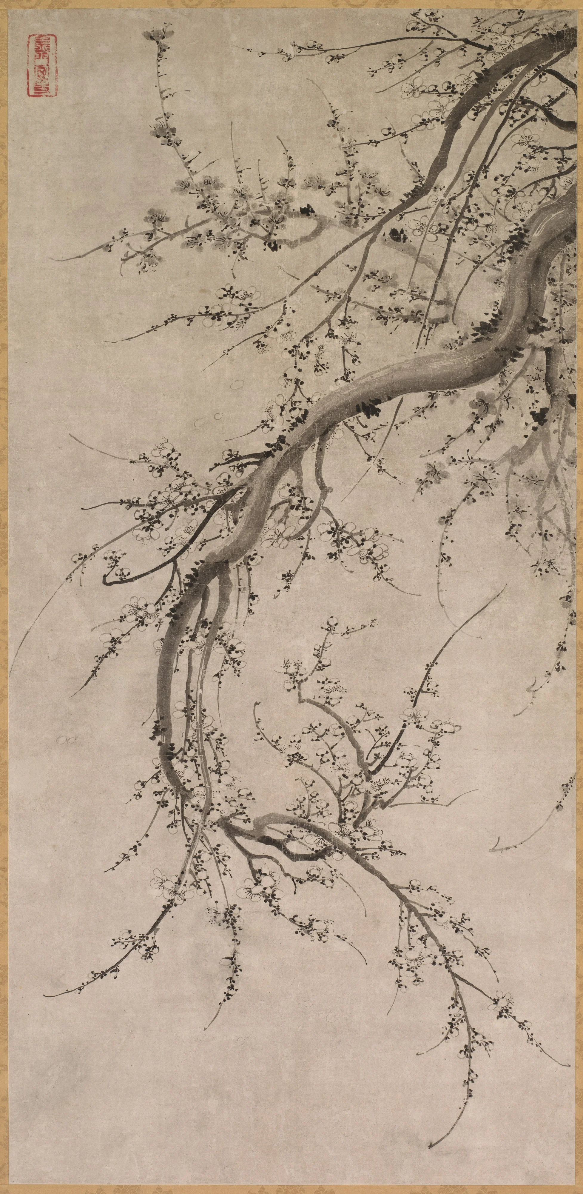 Prunus, detail