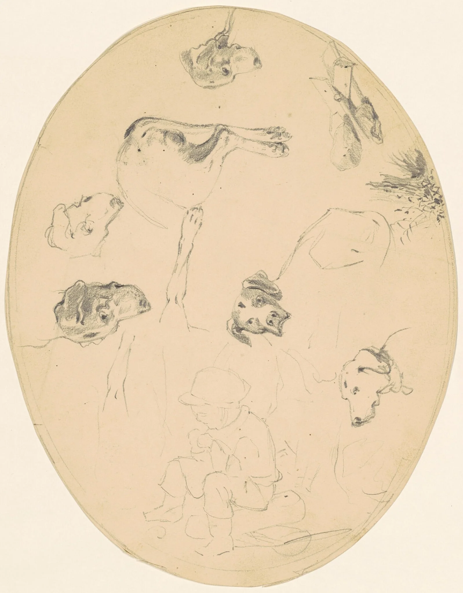Studies of Dogs and a Seated Boy [recto], detail