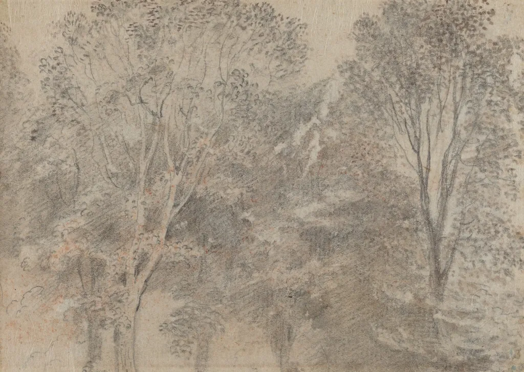 Treetops [verso], by Jean Antoine Watteau, chalk, 1702