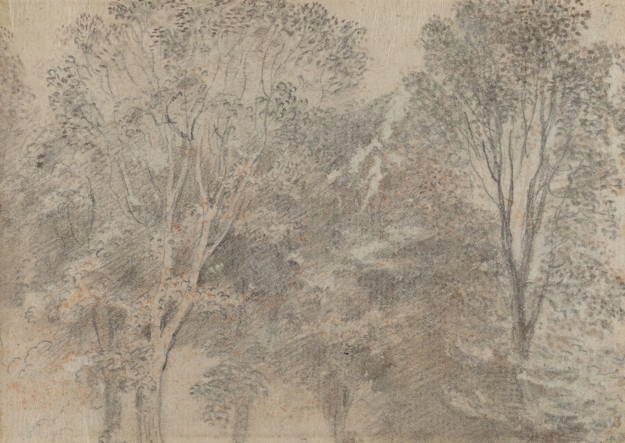 Treetops [verso], detail