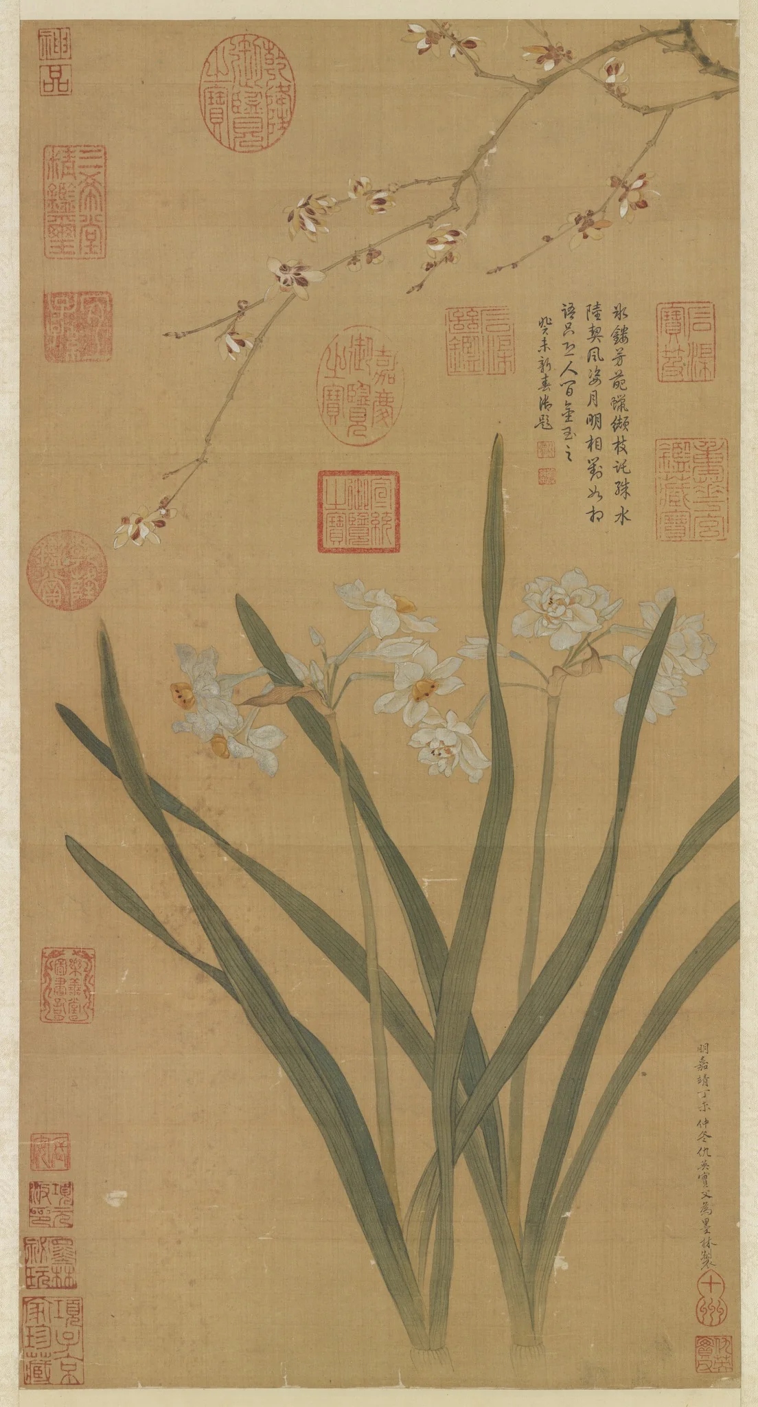 Narcissi and Chimonanthus, detail