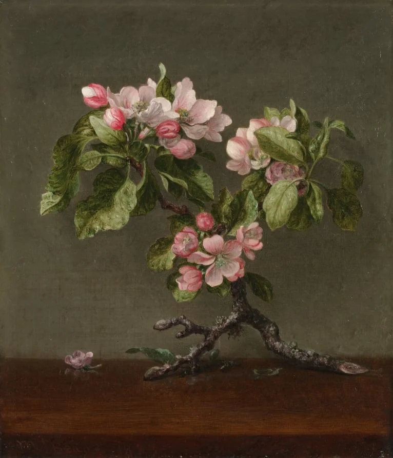 Apple Blossoms, detail